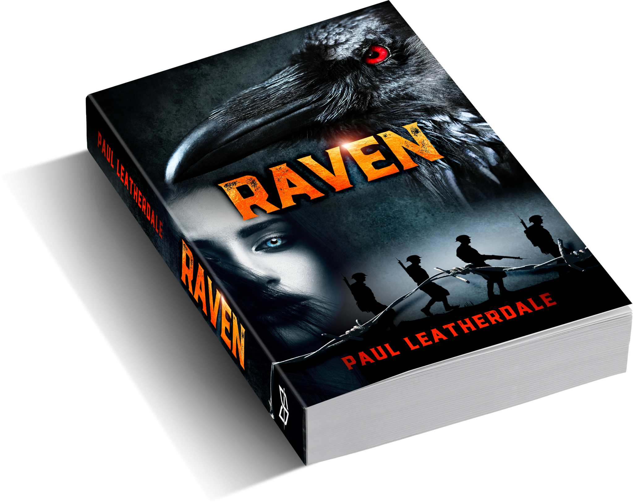 Raven by Paul Leatherdale